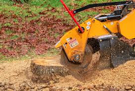 Best Pest Control for Lawns  in Flying Hills, PA