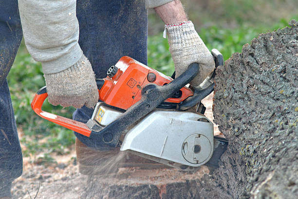 Landscape Design and Installation in Flying Hills, PA